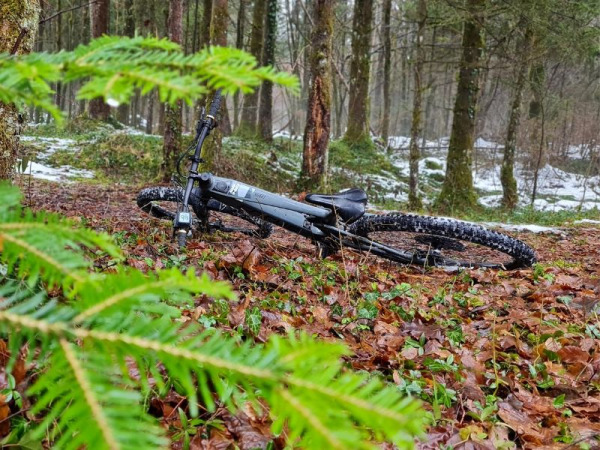 Arav'e-Bike - 74450 Le Grand-Bornand