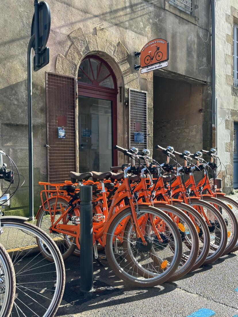 La Tête dans le Guidon - 56000 Vannes